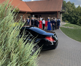 Automobiliai vestuvėms dirbame visuose Lietuvos regionuose / Automobilių nuoma vestuvėms / Darbų pavyzdys ID 2530430