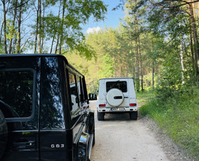 Automobiliai vestuvėms dirbame visuose Lietuvos regionuose / Automobilių nuoma vestuvėms / Darbų pavyzdys ID 2530518