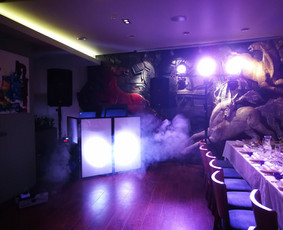 Profesionali Vedėjo ir Dj komanda arba tik Dj puikia kaina! / Justinas Sruoginis / Darbų pavyzdys ID 448245