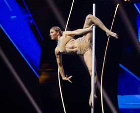 Pole dance pasirodymai. Oro akrobatika. Vipera / Eglina Mažeikienė / Darbų pavyzdys ID 2531918
