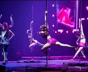 Pole dance pasirodymai. Oro akrobatika. Vipera / Eglina Mažeikienė / Darbų pavyzdys ID 2531922