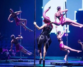 Pole dance pasirodymai. Oro akrobatika. Vipera / Eglina Mažeikienė / Darbų pavyzdys ID 2531924