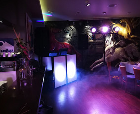 Profesionali Vedėjo ir Dj komanda arba tik Dj puikia kaina! / Justinas Sruoginis / Darbų pavyzdys ID 448247