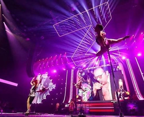 Pole dance pasirodymai. Oro akrobatika. Vipera / Eglina Mažeikienė / Darbų pavyzdys ID 2531926