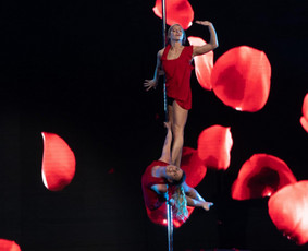 Pole dance pasirodymai. Oro akrobatika. Vipera / Eglina Mažeikienė / Darbų pavyzdys ID 2531930