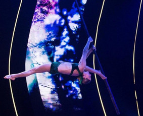 Pole dance pasirodymai. Oro akrobatika. Vipera / Eglina Mažeikienė / Darbų pavyzdys ID 2531944