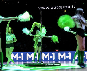 Pole dance pasirodymai. Oro akrobatika. Vipera / Eglina Mažeikienė / Darbų pavyzdys ID 2531946