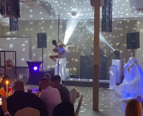 Pole dance pasirodymai. Oro akrobatika. Vipera / Eglina Mažeikienė / Darbų pavyzdys ID 2532024