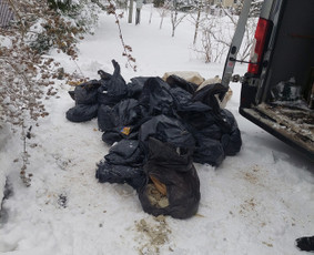 Šiukšliu išvežimas / Įvairių šiukšlių išvežimas / Darbų pavyzdys ID 2537984