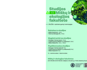 Dizainas ir ne tik / Darius Jelenskis / Darbų pavyzdys ID 2539068