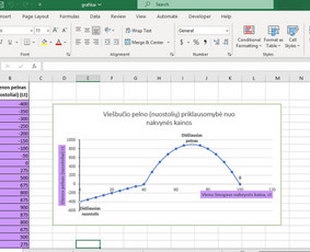 Microsoft Office Excel specialistai - Duomenų analizė, Excel - 1