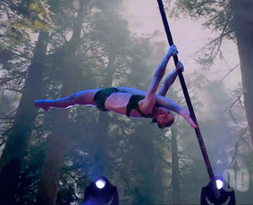 Pole dance pasirodymai. Oro akrobatika. Vipera / Eglina Mažeikienė / Darbų pavyzdys ID 2543018