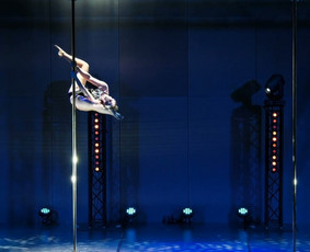 Pole dance pasirodymai. Oro akrobatika. Vipera / Eglina Mažeikienė / Darbų pavyzdys ID 2543020