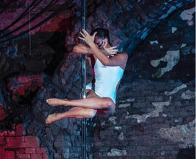 Pole dance pasirodymai. Oro akrobatika. Vipera / Eglina Mažeikienė / Darbų pavyzdys ID 2543038