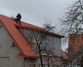Stogdengiai. Stogo dengimas / Uab Algio stogai / Darbų pavyzdys ID 2544442