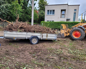 Avariniu medžių pjovimas, vaismedžių genejimas. / Aplinkos tvarkymas / Darbų pavyzdys ID 2545482