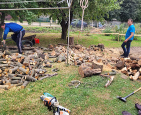 Avariniu medžių pjovimas, vaismedžių genejimas. / Aplinkos tvarkymas / Darbų pavyzdys ID 2545486