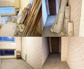 Griovimo darbai, šiukšlių išvežimas. / Ernestas Žilinskij / Darbų pavyzdys ID 2556004