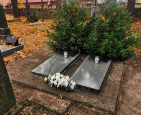 Kapų tvarkymas ir priežiūra / Kapinių Priežiūra / Darbų pavyzdys ID 2556364