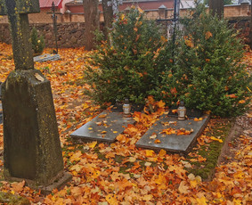 Kapų tvarkymas ir priežiūra / Kapinių Priežiūra / Darbų pavyzdys ID 2556366
