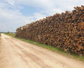 Malkos,sausos,naturalaus , akmens anglis, Statybine mediena. - Pjuvenų briketai - 4 Pjuvenų briketai - Malkos,sausos,naturalaus , akmens anglis, Statybine mediena. - 4