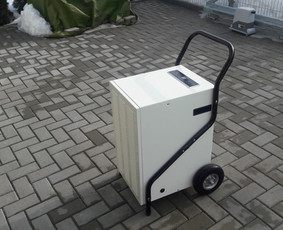 Kaunas, Romainiai +37066838820