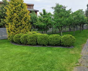 Medžių genėjimas, purškimas, gyvatvorių karpymas, sodo priež / Justas Kubilius / Darbų pavyzdys ID 2560096