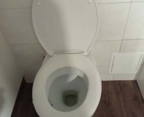 Įvairių patalpų valymas. / Danguolė / Darbų pavyzdys ID 2561886