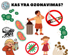 Pelėsio ir medžio grybo "Trobagrybio" naikinimas, šalinimas / PelėsioNaikinimasSalinimas.lt / Darbų pavyzdys ID 2563122