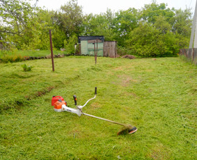 Vaismedžių/medžių genėjimas, gyvatvorių karpymas, šienavimas / Pavelas / Darbų pavyzdys ID 2564612