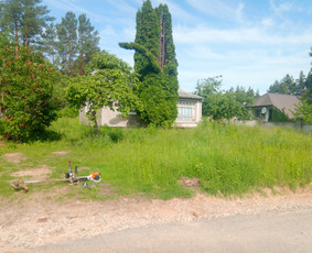 Vaismedžių/medžių genėjimas, gyvatvorių karpymas, šienavimas / Pavelas / Darbų pavyzdys ID 2564614