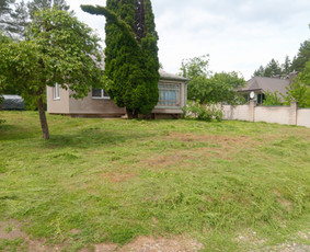 Vaismedžių/medžių genėjimas, gyvatvorių karpymas, šienavimas / Pavelas / Darbų pavyzdys ID 2564616
