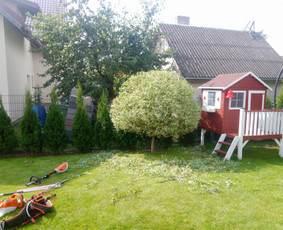 Vaismedžių/medžių genėjimas, gyvatvorių karpymas, šienavimas / Pavelas / Darbų pavyzdys ID 2564624