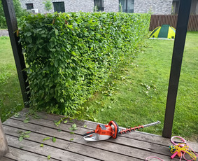 Vaismedžių/medžių genėjimas, gyvatvorių karpymas, šienavimas / Pavelas / Darbų pavyzdys ID 2564690