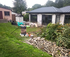 Vaismedžių/medžių genėjimas, gyvatvorių karpymas, šienavimas / Pavelas / Darbų pavyzdys ID 2564696