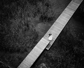 Vestuvių fotografas ir Video operatorius - Vilnius / FOTOTAKAS - Vestuvių fotografas / Darbų pavyzdys ID 455069