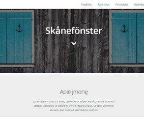 Sudėtingų sistemų programavimas - Programavimas su WordPress - 3 Programavimas su WordPress - Sudėtingų sistemų programavimas - 3