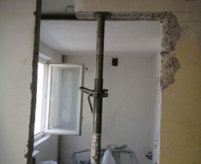 Griovimas, išvežimas, vidaus apdaila / Aurimas / Darbų pavyzdys ID 2573648