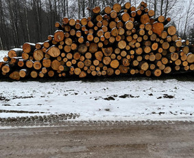 Malkos: gamyba, pristatymas - Parduodu malkas - 2