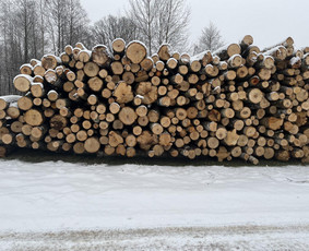 Malkos: gamyba, pristatymas - Parduodu malkas - 3