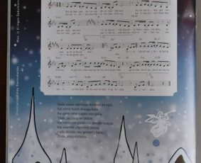 Dailininkė, iliustratorė, grafikos dizainerė Kaune / Rūta / Darbų pavyzdys ID 2574404