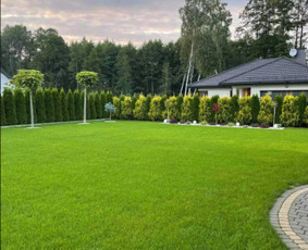Vejos įrengimas, paruošimas, frezavimas, grėblys, paruošėjas / Mb Šiaurės Kasyba / Darbų pavyzdys ID 2576666
