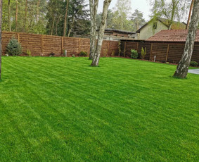 Vejos įrengimas, paruošimas, frezavimas, grėblys, paruošėjas / Mb Šiaurės Kasyba / Darbų pavyzdys ID 2576890