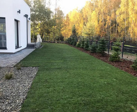 Vejos įrengimas, paruošimas, frezavimas, grėblys, paruošėjas / Mb Šiaurės Kasyba / Darbų pavyzdys ID 2576920