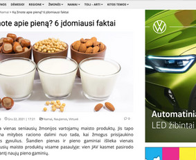 SEO straipsnių ra&scaron;ymas - Tekstų kūrimas Lt/en - 3