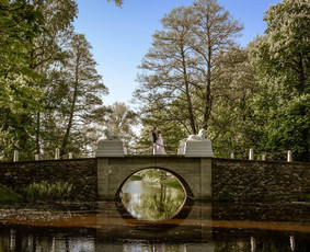 Fotografija / Baltanagė Hiena / Darbų pavyzdys ID 2292120