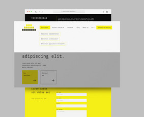 Ui/ux/branding/grafikos/pakuočių dizaino sprendimai / Rekos Agency / Darbų pavyzdys ID 2582614