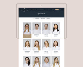 Web dizainas / Vizualinis Identitetas / Viktorija Jokšaitė / Darbų pavyzdys ID 2584812