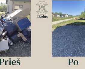 Aplinkos tvarkymas, apželdinimas - Greitas krovinių (šiukšlių išvežimas) - 4