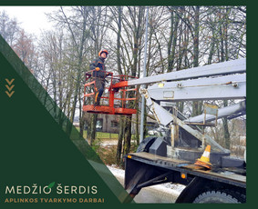 Medžių pjovimas ir genėjimas. Visi aplinkos tvarkymo darbai / MEDŽIO ŠERDIS / Darbų pavyzdys ID 2589020